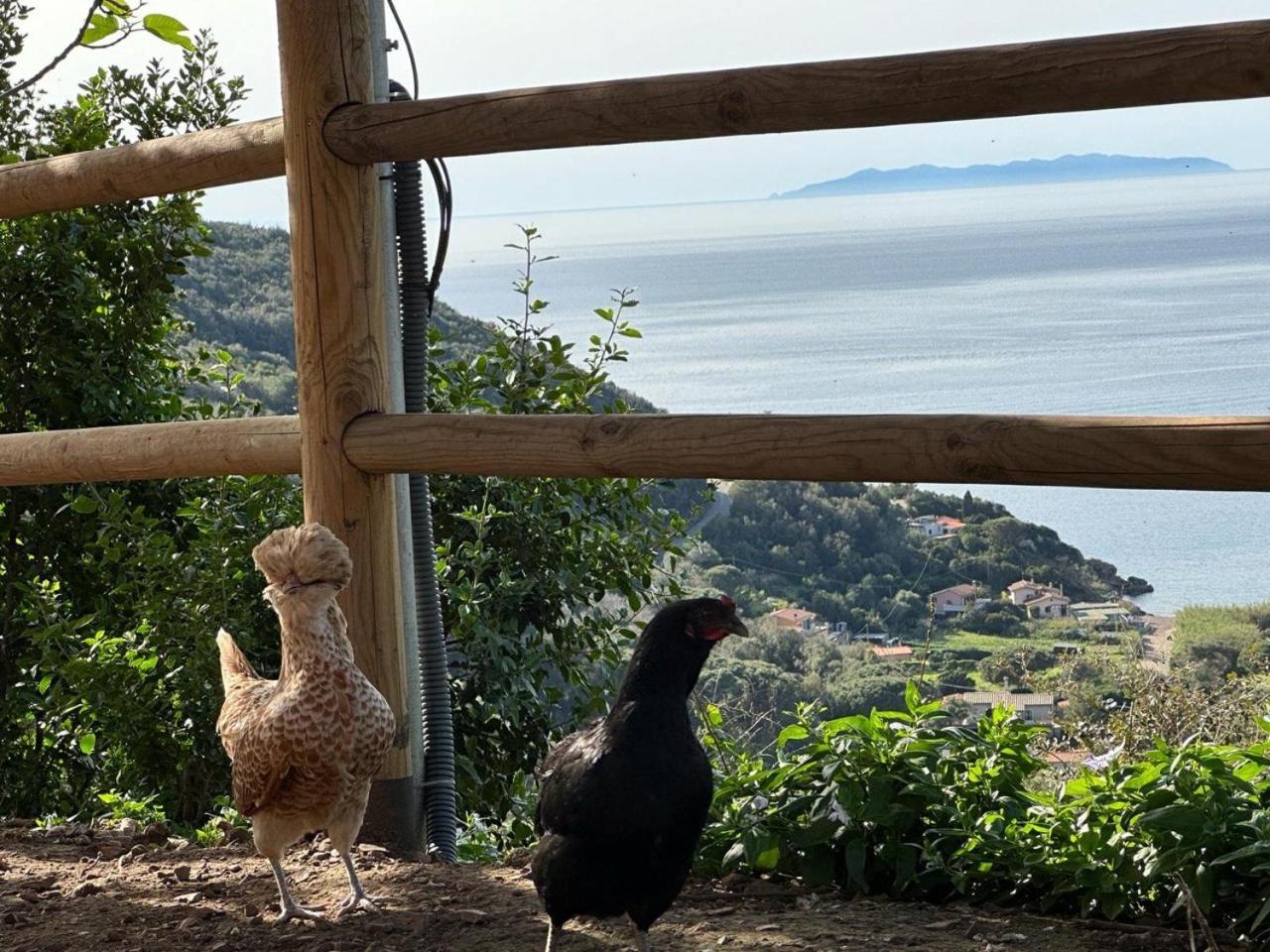Agriturismo Paradisa Rio dellʼElba 外观 照片