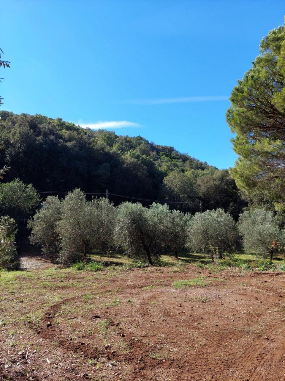 Agriturismo Paradisa Rio dellʼElba 外观 照片