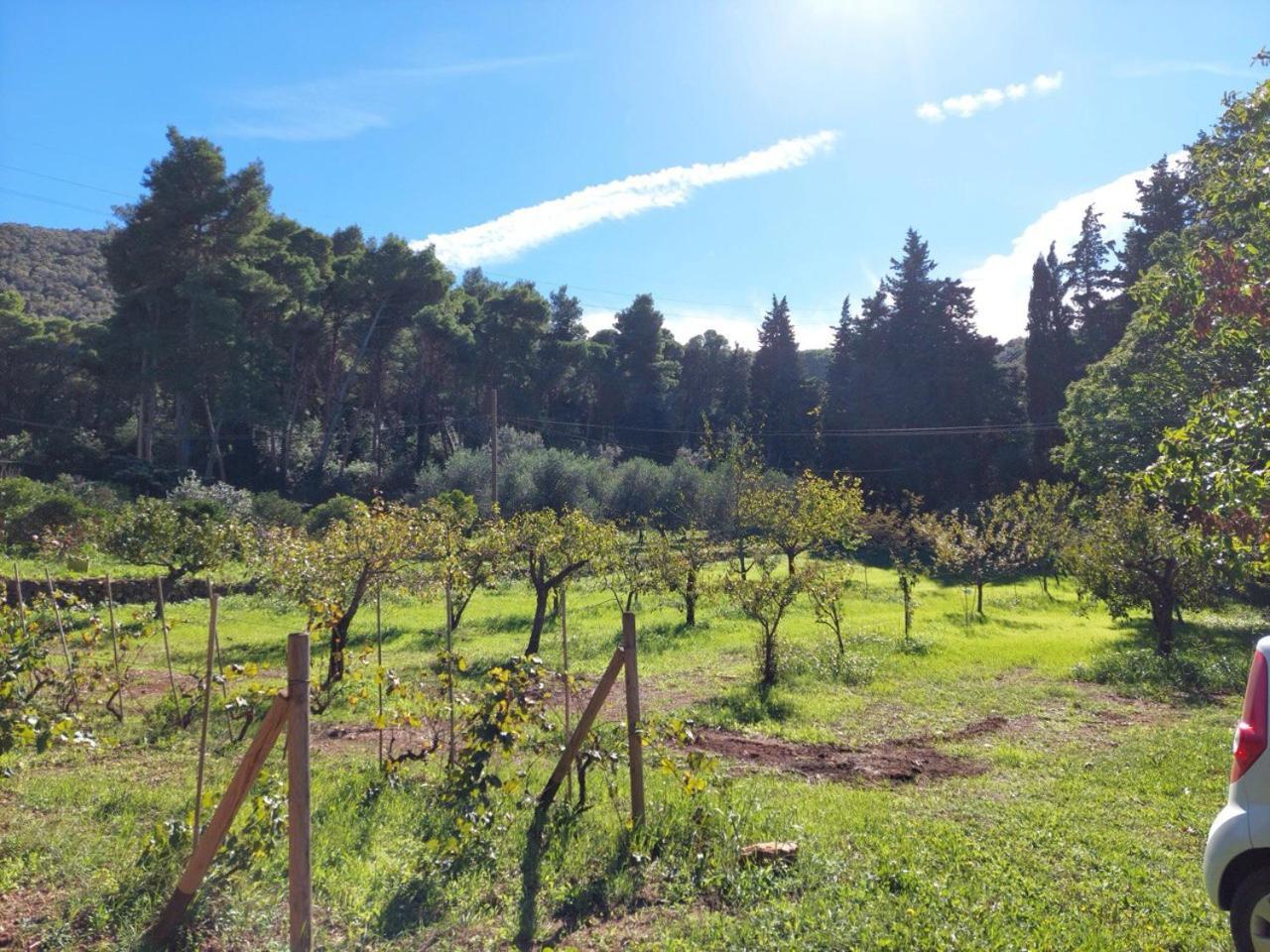 Agriturismo Paradisa Rio dellʼElba 外观 照片