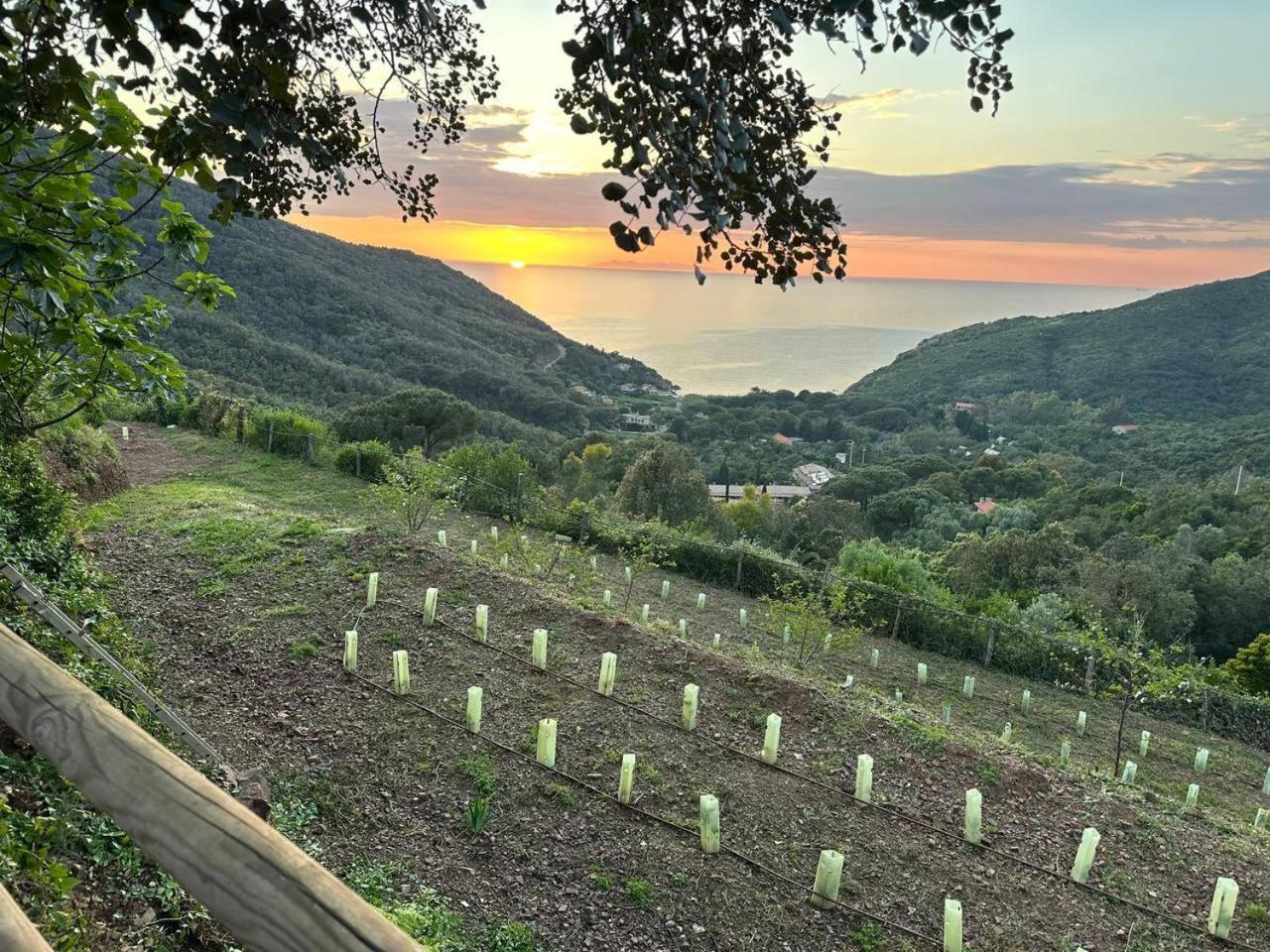 Agriturismo Paradisa Rio dellʼElba 外观 照片